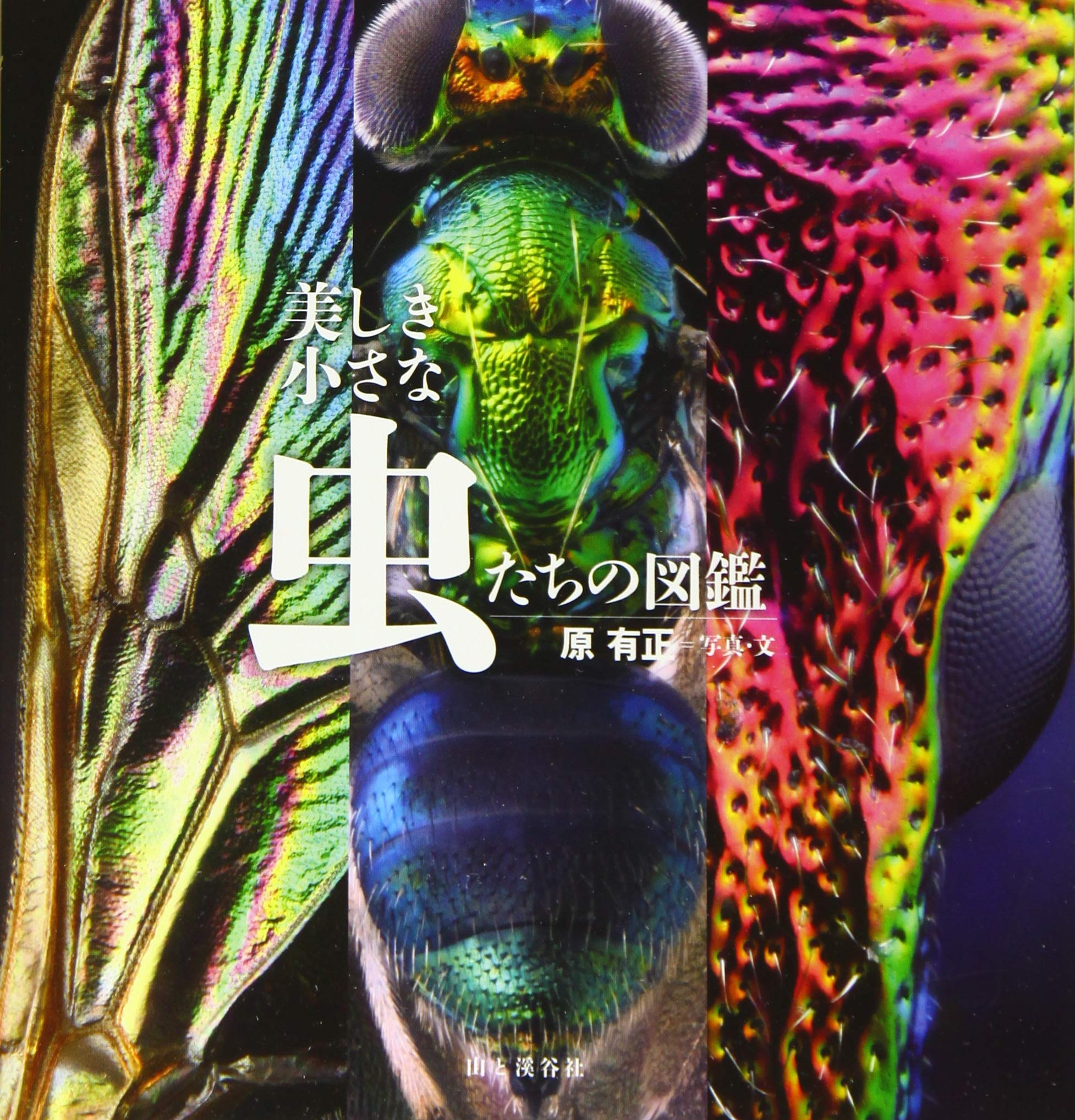 著 者 :原有正 :
発行者 :山と溪谷社 :
刊行年月:202009:
底本ISBN:9784635062961 :
内容紹介:すぐそばにいる、でもはじめて見る虫たちの美。
熱帯雨林のムシたちに負けないようなカラフルで美しい世界が足元に!
ふだんはまったく気づかないような小さなムシたちに宿る美しさを、超拡大写真で展開。お庭や公園で見ることができる小さな昆虫、クモ類など、約100種類を紹介します。
深度合成&黒バック写真で虫たちの美しさを追求。あなたの身近にいる小さな虫たちの美しさに驚いてください。 :