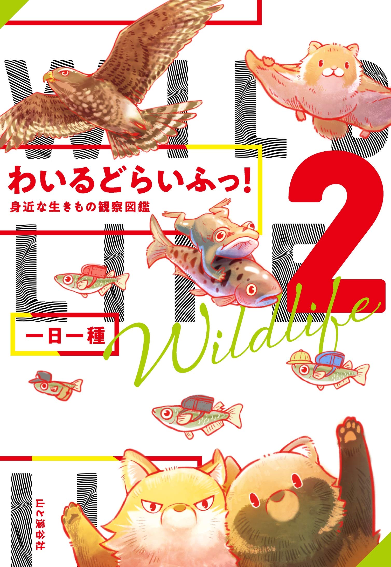 著 者 :一日一種 :
発行者 :山と溪谷社 :
刊行年月:202011:
底本ISBN:9784635062985 :
内容紹介:SNSで話題の身近ないきものコミック『わいるどらいふっ!』書籍化第二弾!
知っているようで知らない身近な生きものたちの生活をクスッと笑える漫画で紹介。
人間のすぐ近くにひそむ彼らのしたたかな生き方を知ってしまえば、愛せずにはいられない!?
Twitterで好評の漫画「変なとこに巣作りする鳥たち」「桜と愉快な鳥たち」「早起きして二度寝するアカガエルの産卵」ほか、
「踏まれたいドMな草オオバコ」、「アリたちに襲いかかるデストラップ」など描きおろし漫画多数。 :