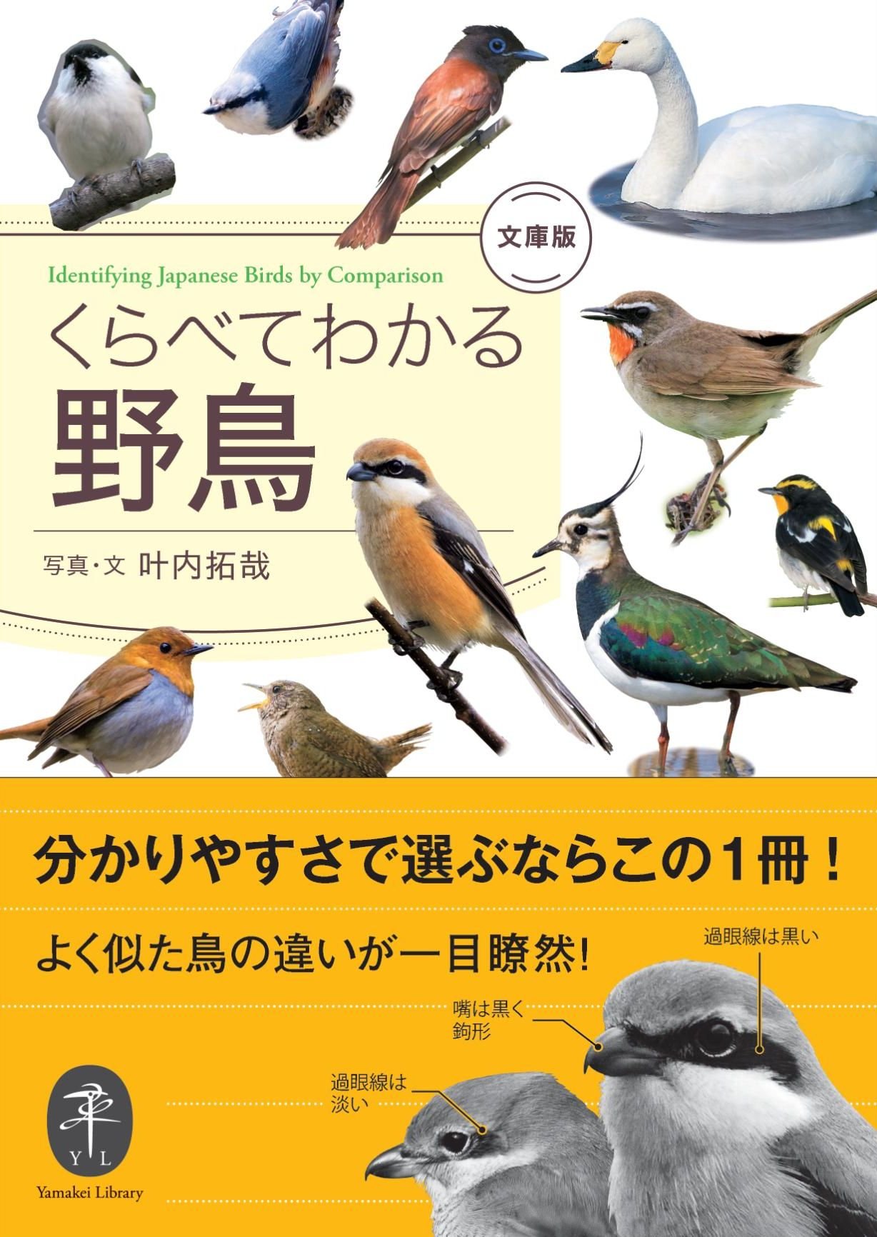 著 者 :叶内拓哉 :
発行者 :山と溪谷社 :
刊行年月:201402:
底本ISBN:9784635063470 :
内容紹介: :