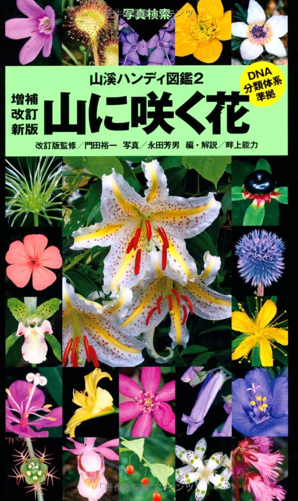 著 者 :門田裕一【改訂版監修】 :
発行者 :山と溪谷社 :
刊行年月:201303:
底本ISBN:9784635070218 :
内容紹介:旧来の合弁花類、離弁花類といった分類は廃止され、「基部被子植物・モクレン類」「単子葉類」「真正双子葉類」で構成されています。
植物全体を写した生態写真と特徴のある花や果実、葉などのアップ写真を組み合わせて掲載。植物の名称・学名・特徴・花期・分布を記している。同時刊行の『増補改訂新版 野に咲く花』に収録された植物も検索できるアルファベット順の学名索引、五十音順総合索引を巻末に収録しています。
植物愛好家はもちろん、植物の調査・研究にかかわるすべての人にお勧めします。 :