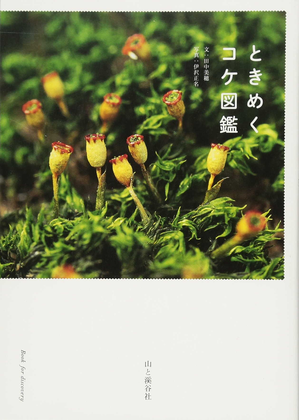 著 者 :田中美穂【文】 :
発行者 :山と溪谷社 :
刊行年月:201402:
底本ISBN:9784635202251 :
内容紹介: :
