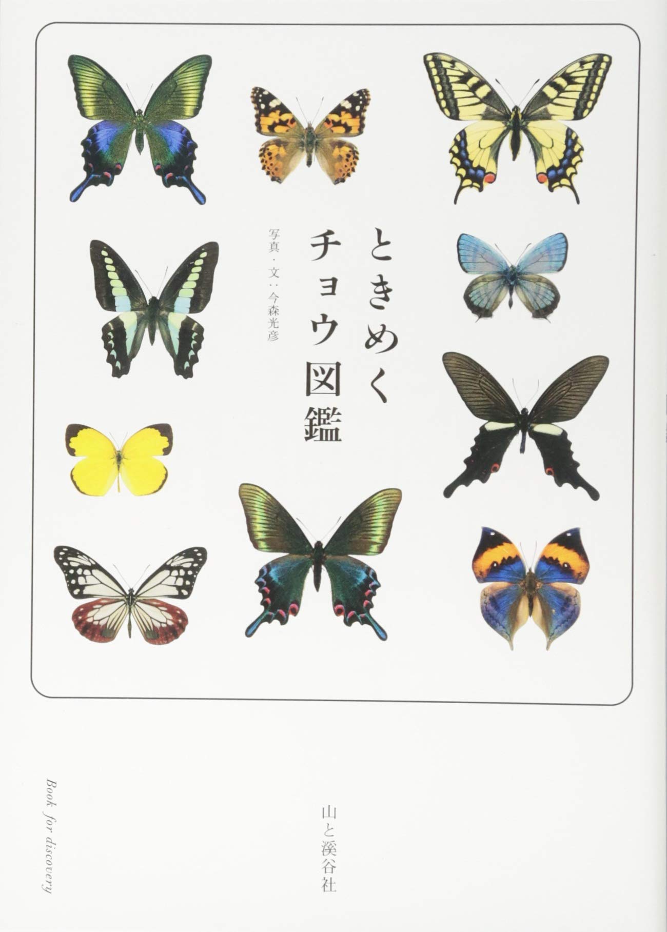 著 者 :今森光彦 :
発行者 :山と溪谷社 :
刊行年月:201407:
底本ISBN:9784635202275 :
内容紹介: :