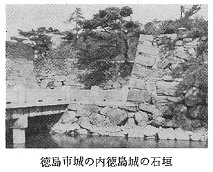 阿波の青石 数百キロから2.5tくらいまでのもの 阿波の青石